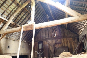 Huge Farm House for Further Renovation