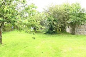 Huge Farm House for Further Renovation