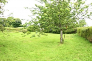 Huge Farm House for Further Renovation