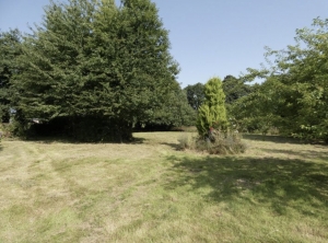 Detached Rural House with Large Garden