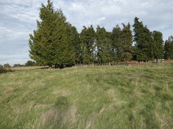 Detached Country House with Open Views