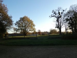 Stunning 17th Century Manor House with Land