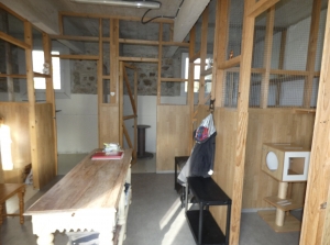 Detached Country House with Open Views