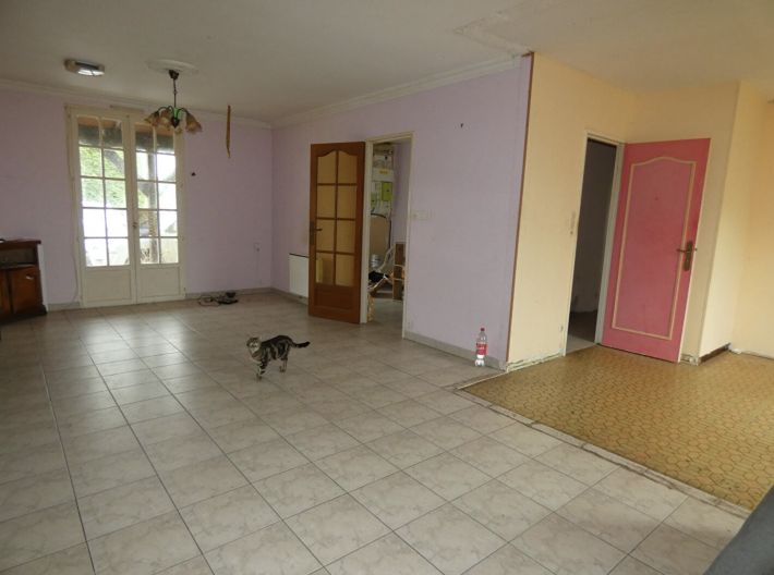 Habitable Single Storey House to Improve