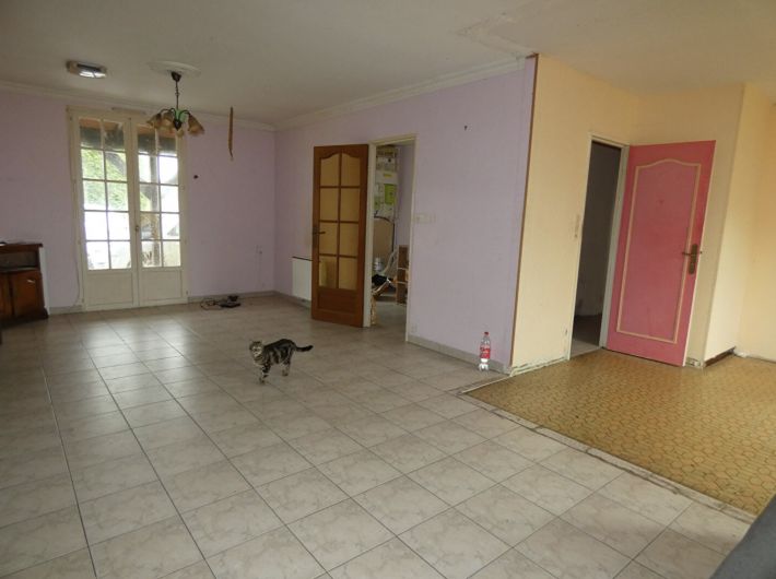 Habitable Single Storey House to Improve