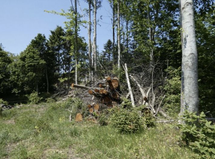 Building Plot For Sale in Lovely Setting