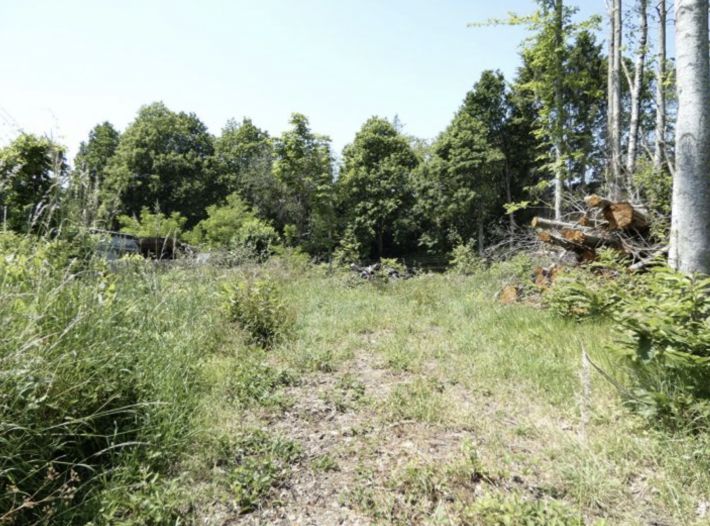 Building Plot For Sale in Lovely Setting