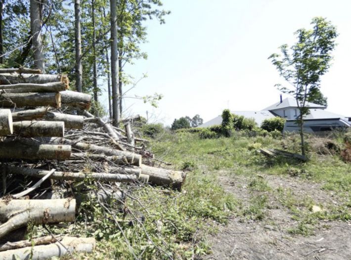 Building Plot For Sale in Lovely Setting