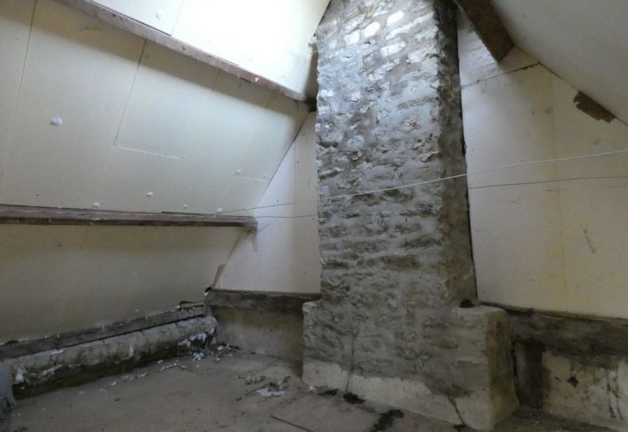 Detached Country House with Outbuildings