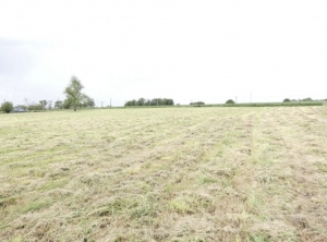 Detached Country Cottage with Character and Open View