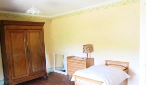 Two Separate Houses with Character