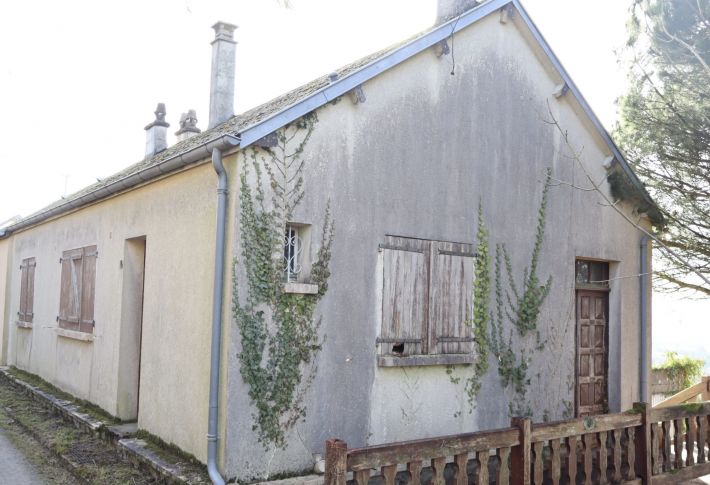 Single Storey House with Open View