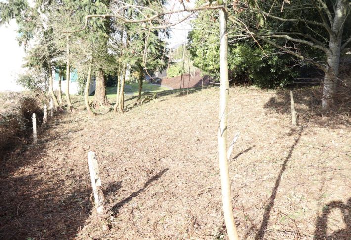 Single Storey House with Open View