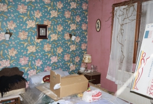 Single Storey House with Open View