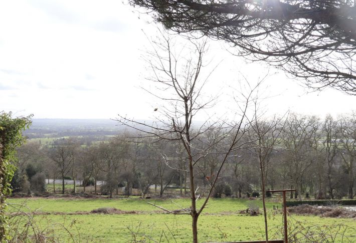 Single Storey House with Open View