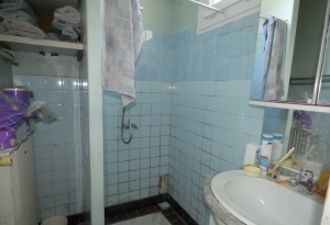 Traditional House with Nice Garden