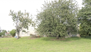 Detached House with Garden and Large Outbulding