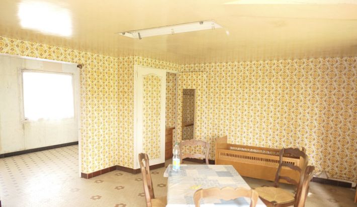 Detached House with Garden and Large Outbulding