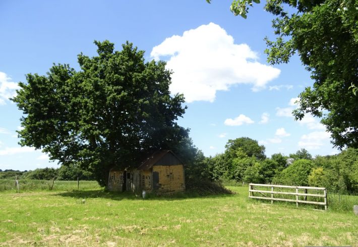 Detached Country House with Outbuildings