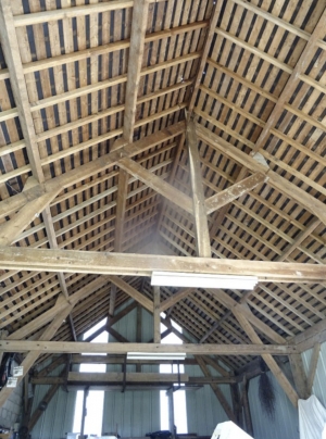 Barns to Convert into Habitation in Large Plot