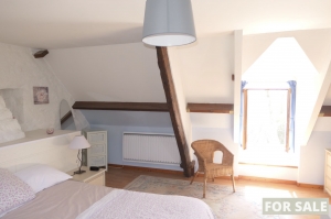 Detached Country House with Guest Gite