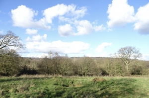 Detached Country House with No Neighbours