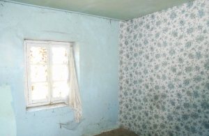 Farm House to Renovate in the Countryside