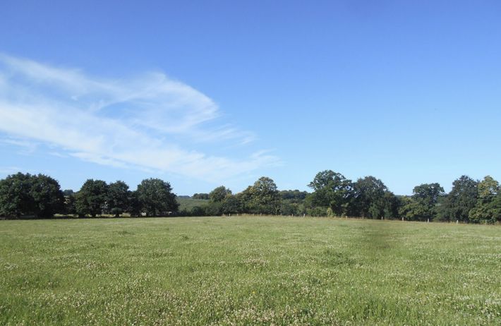 Farm House to Renovate in the Countryside