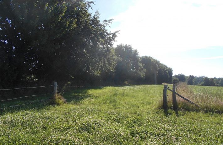 Farm House to Renovate in the Countryside