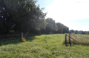 Farm House to Renovate in the Countryside