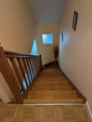 Detached House with Garden