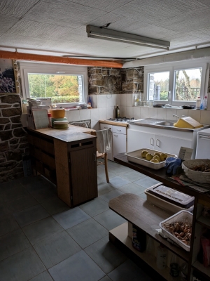 Detached House with Garden