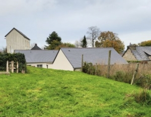 Huge Habitable Property with Lots of Potential