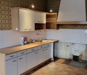 Huge Habitable Property with Lots of Potential