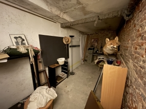 Main House with Barn in 1.5 Hectares of Land