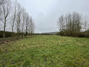Main House with Barn in 1.5 Hectares of Land