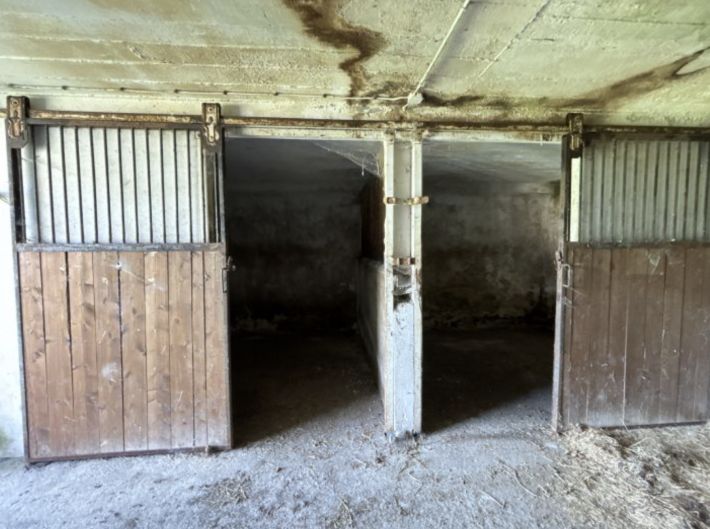 Countryside Longere House with Outbuildings and Land