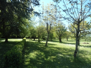 Detached Country House with Swimming Pool