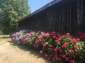 13th Century Manor House with Guest House and More