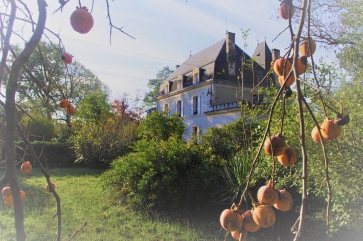 Chateau Style Property With Guest Gite, Pool and Riverside