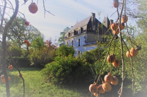 Chateau Style Property With Guest Gite, Pool and Riverside