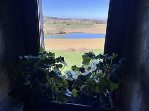 Detached Country House with Pool and Open Views