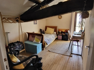 Main House with Guest Cottage and Lots of Land