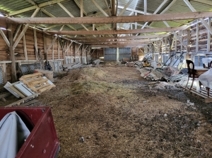 Main House with Guest Cottage and Lots of Land