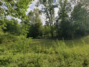 Detached Country House with Swimming Pool and Landscaped Garden