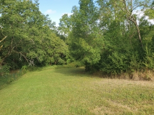 Detached Country House with Swimming Pool and Landscaped Garden