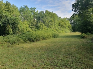 Detached Country House with Swimming Pool and Landscaped Garden