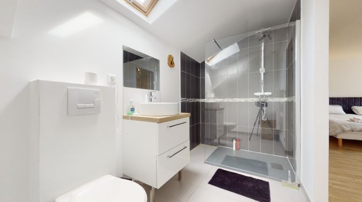 Detached Country House with 3 Guest Gites and Swimming Pool