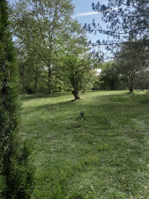 Country House with Swimming Pool and Open Views