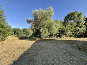 Main House with Outbuildings in 7.2 Hectares of Land